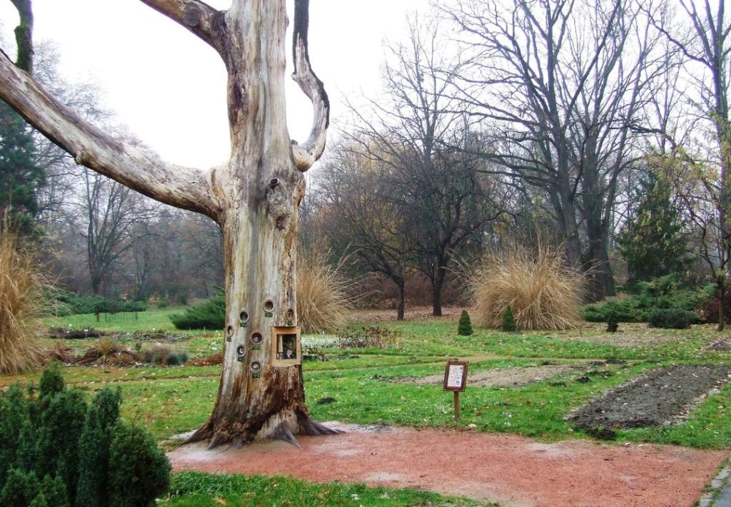 ¡Últimos días de encuentros entre arte y naturaleza!
