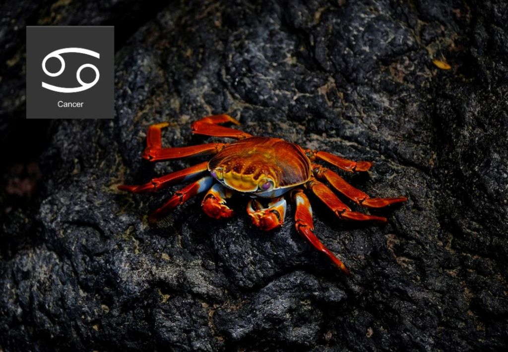 Horoscopo, Halloween, hasta el 5 de octubre