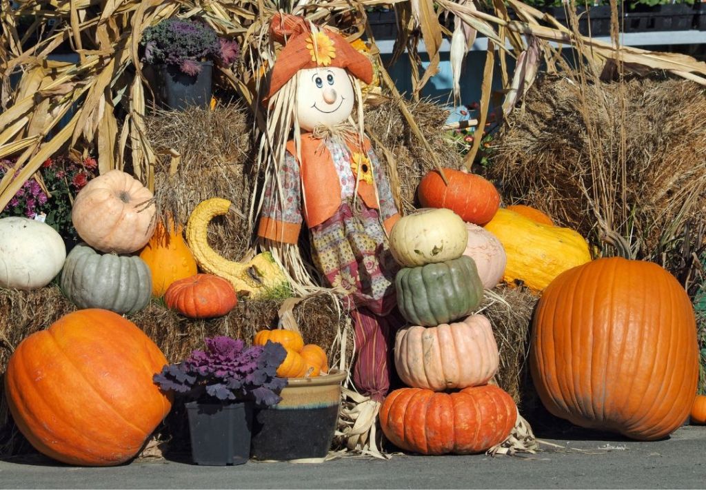 Más eventos de otoño en Cleveland, ¿Cuándo será el próximo?