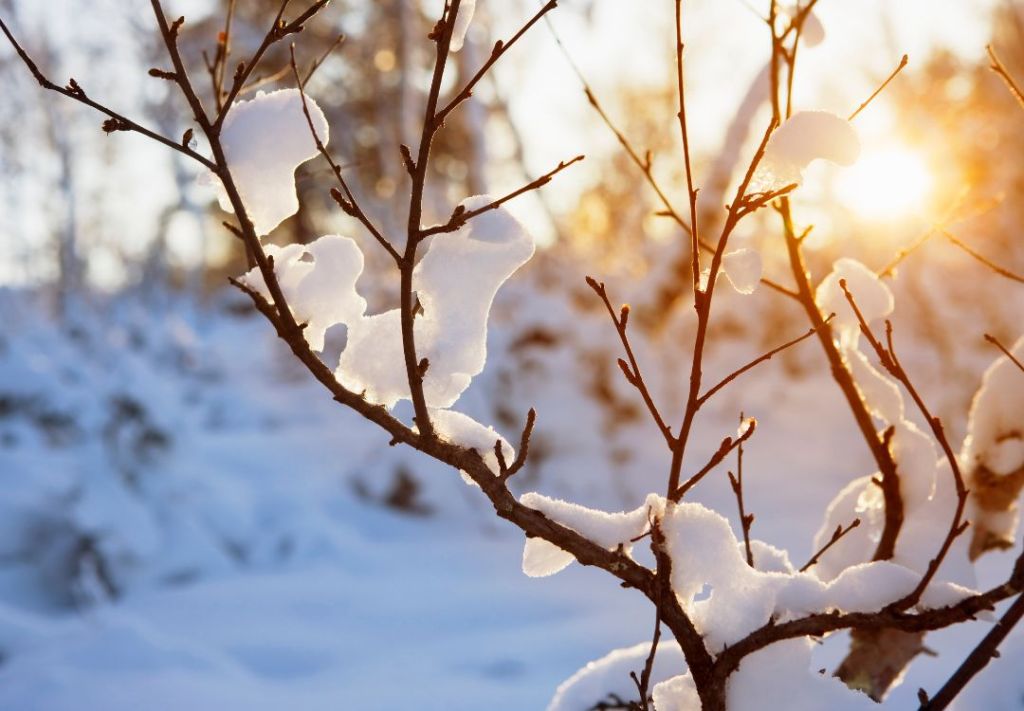 Cleveland bajo aviso invernal por nevadas intermitentes