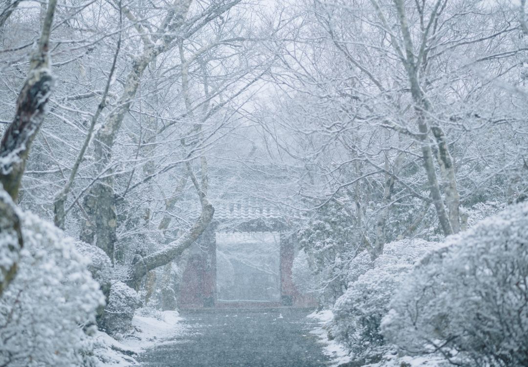 Más nieve y frío severo marcarán la semana en Cleveland