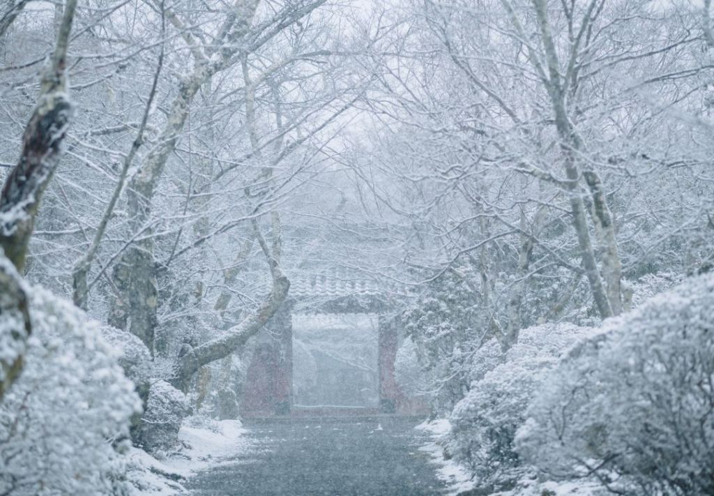 Más nieve y frío severo marcarán la semana en Cleveland