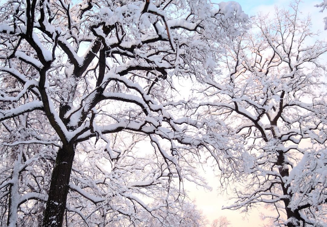 Cleveland refuerza advertencias por nieve y frío