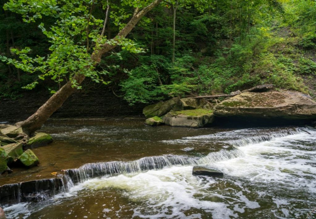 Cleveland Metroparks invita a explorar sus destinos
