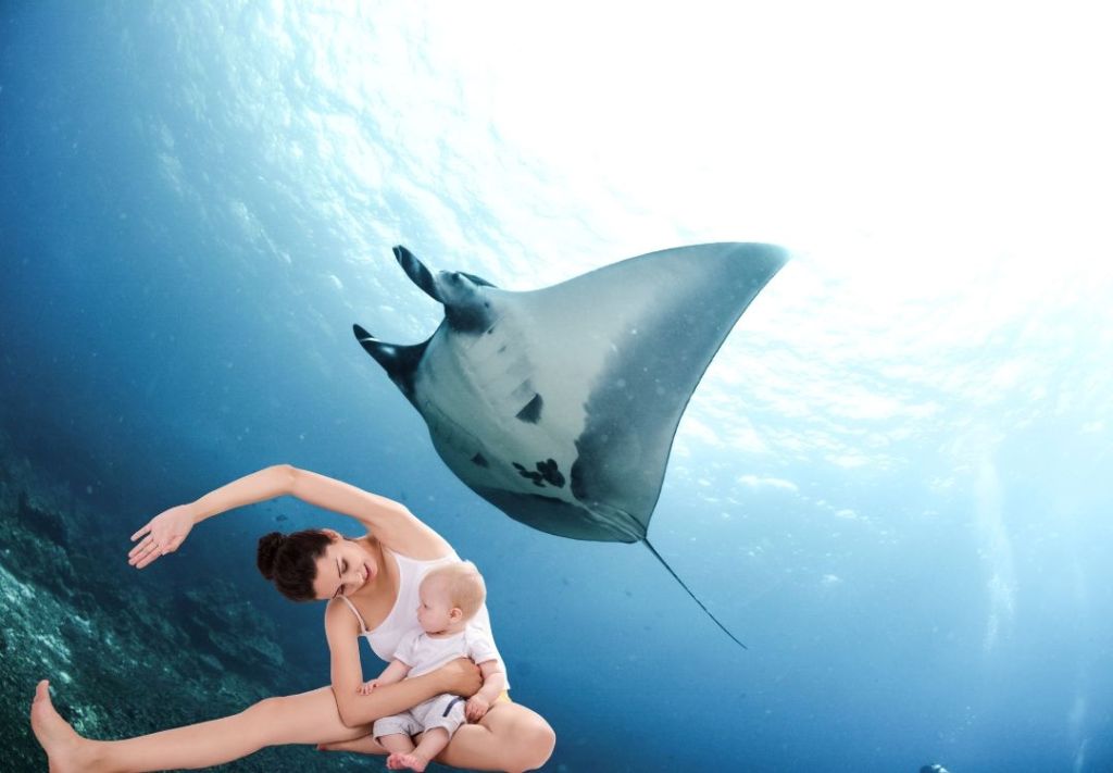 8 de abril: Ofrecen clases de yoga entre mantarrayas del acuario