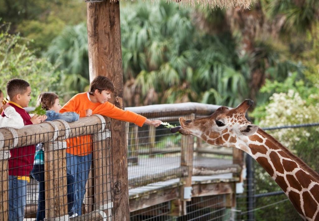 Zoológico de Akron alcanza récord histórico de visitas