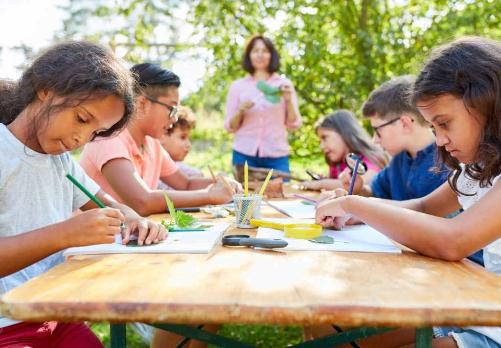 Oportunidad única: Programa de verano con mentoría, creatividad y becas