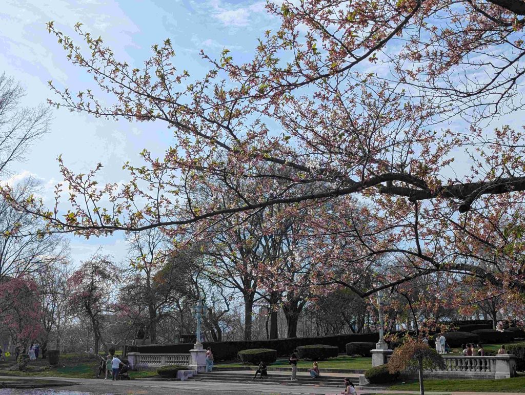 ¿Cuál fue el mejor regalo de abril en Cleveland?