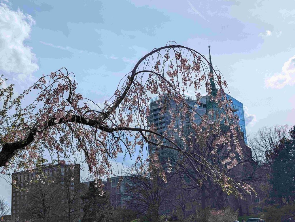 ¿Cuál fue el mejor regalo de abril en Cleveland?