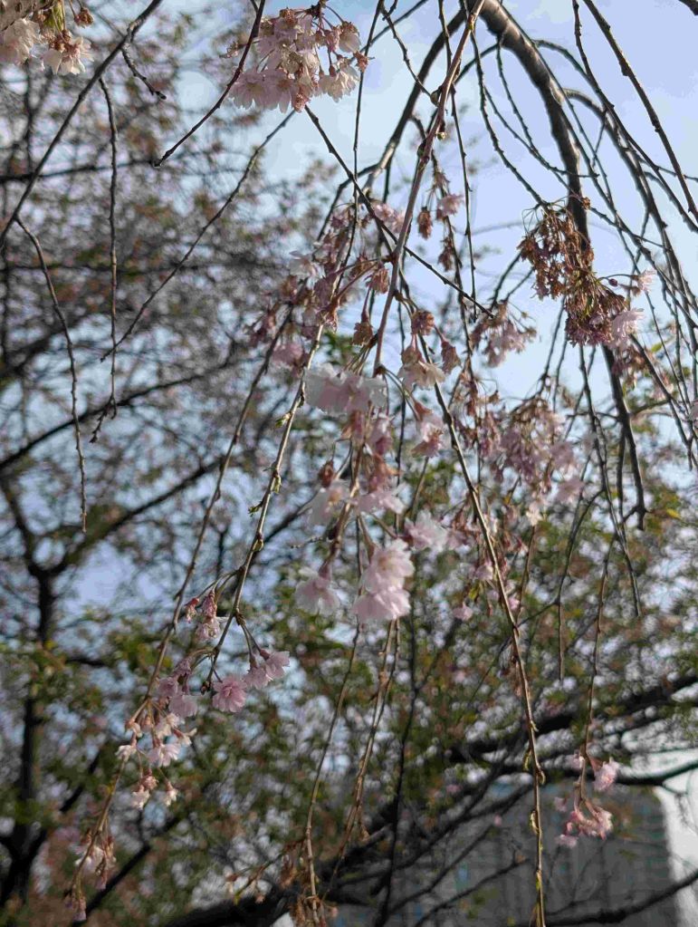 ¿Cuál fue el mejor regalo de abril en Cleveland?