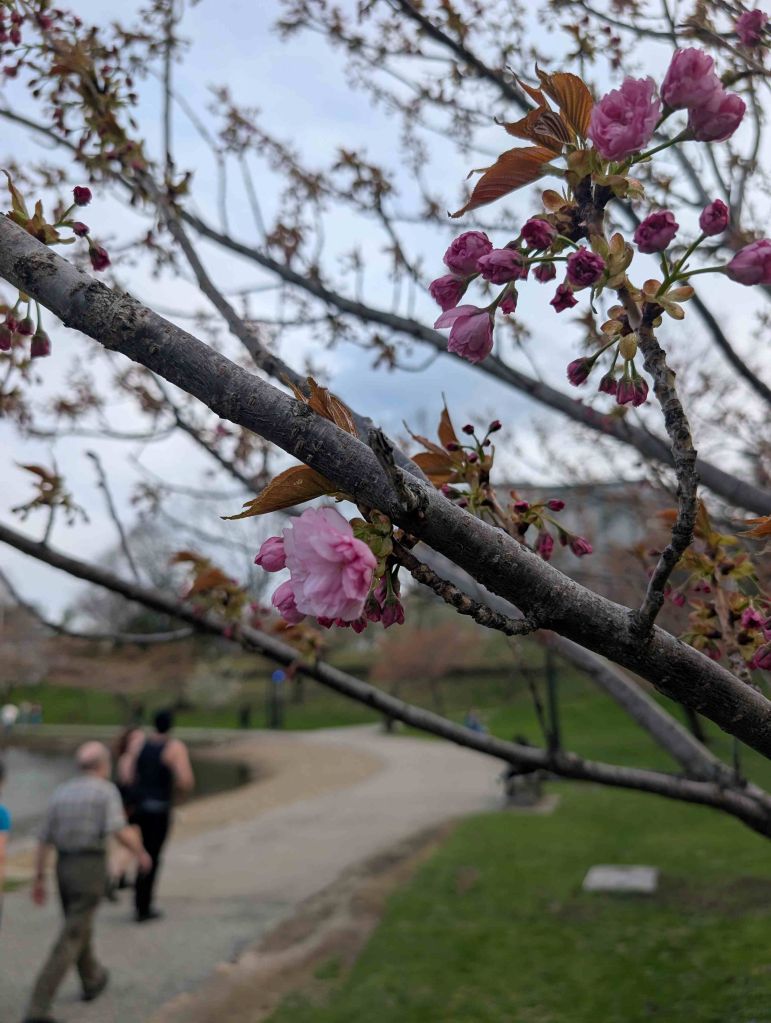 ¿Cuál fue el mejor regalo de abril en Cleveland?